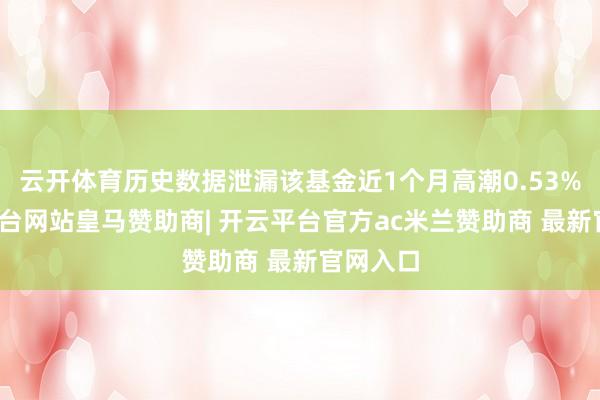 云开体育历史数据泄漏该基金近1个月高潮0.53%-开云平台网站皇马赞助商| 开云平台官方ac米兰赞助商 最新官网入口