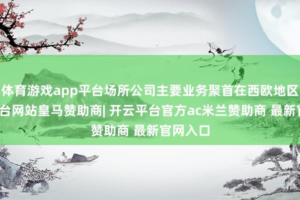 体育游戏app平台场所公司主要业务聚首在西欧地区-开云平台网站皇马赞助商| 开云平台官方ac米兰赞助商 最新官网入口