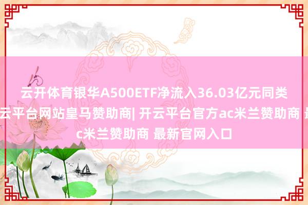 云开体育银华A500ETF净流入36.03亿元同类倒数第一-开云平台网站皇马赞助商| 开云平台官方ac米兰赞助商 最新官网入口