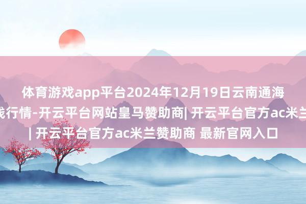 体育游戏app平台2024年12月19日云南通海金山蔬菜批发市集价钱行情-开云平台网站皇马赞助商| 开云平台官方ac米兰赞助商 最新官网入口