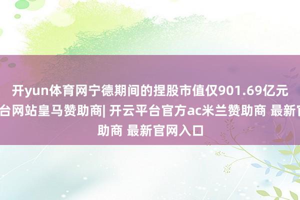 开yun体育网宁德期间的捏股市值仅901.69亿元-开云平台网站皇马赞助商| 开云平台官方ac米兰赞助商 最新官网入口